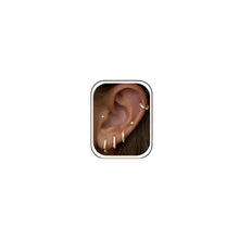 将图片加载到图库查看器，Small Gold Huggie Hoop Stud Earrings Set for Women Stack, Flat Back 316L Hypoallergenic 14K Plated Cartilage Helix Tragus Earrings for Multiple Piercings, Sleeper Earrings Cute 6 Pairs Jewelry Gifts