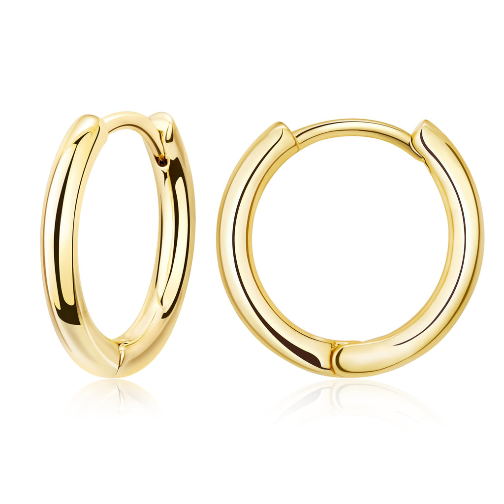 316L Stainless Steel Hoop Earrings — Hypoallergenic Cartilage Set