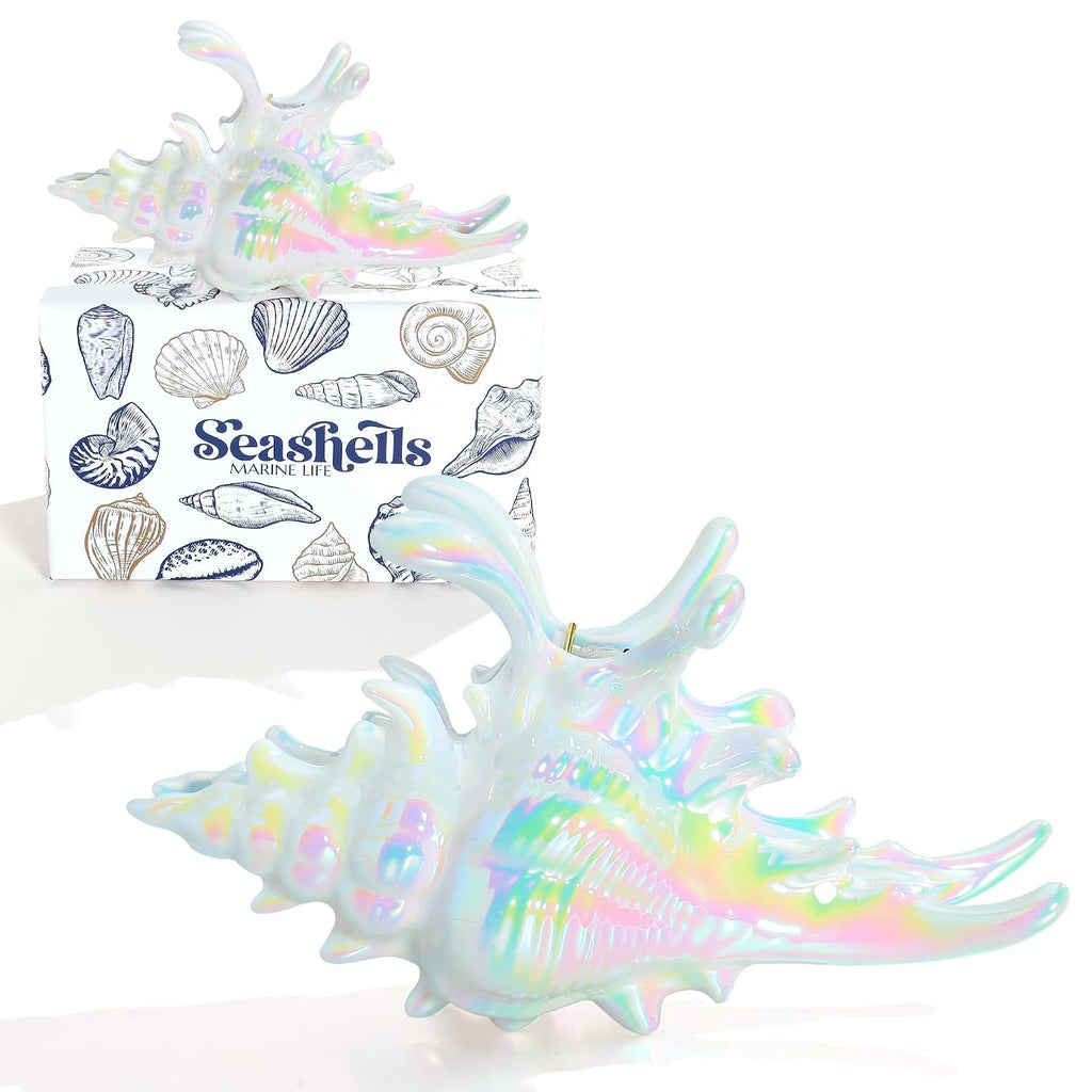 Colorful Conch Hair Clips For Women Large Shell Claw Clips