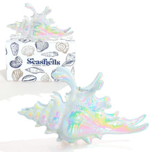 将图片加载到图库查看器，Colorful Conch Hair Clips For Women Large Shell Claw Clips