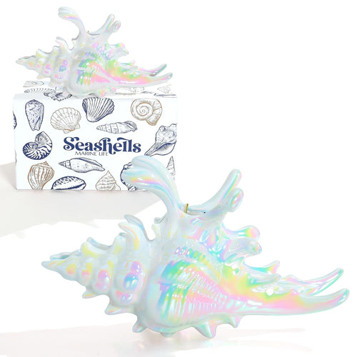 Colorful Conch Hair Clips For Women Large Shell Claw Clips