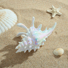 将图片加载到图库查看器，Colorful Conch Hair Clips For Women Large Shell Claw Clips – view 6