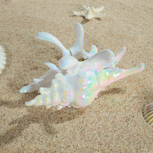 将图片加载到图库查看器，Colorful Conch Hair Clips For Women Large Shell Claw Clips – view 5